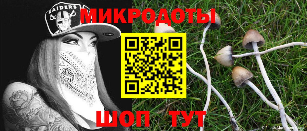 купить  сайты  Галлюциногенные грибы Psilocybine cubensis  Вход с VPN  Десногорск 