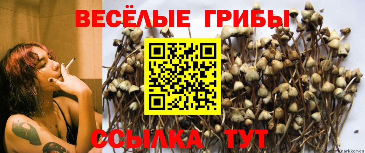 Галлюциногенные грибы ЛСД Десногорск